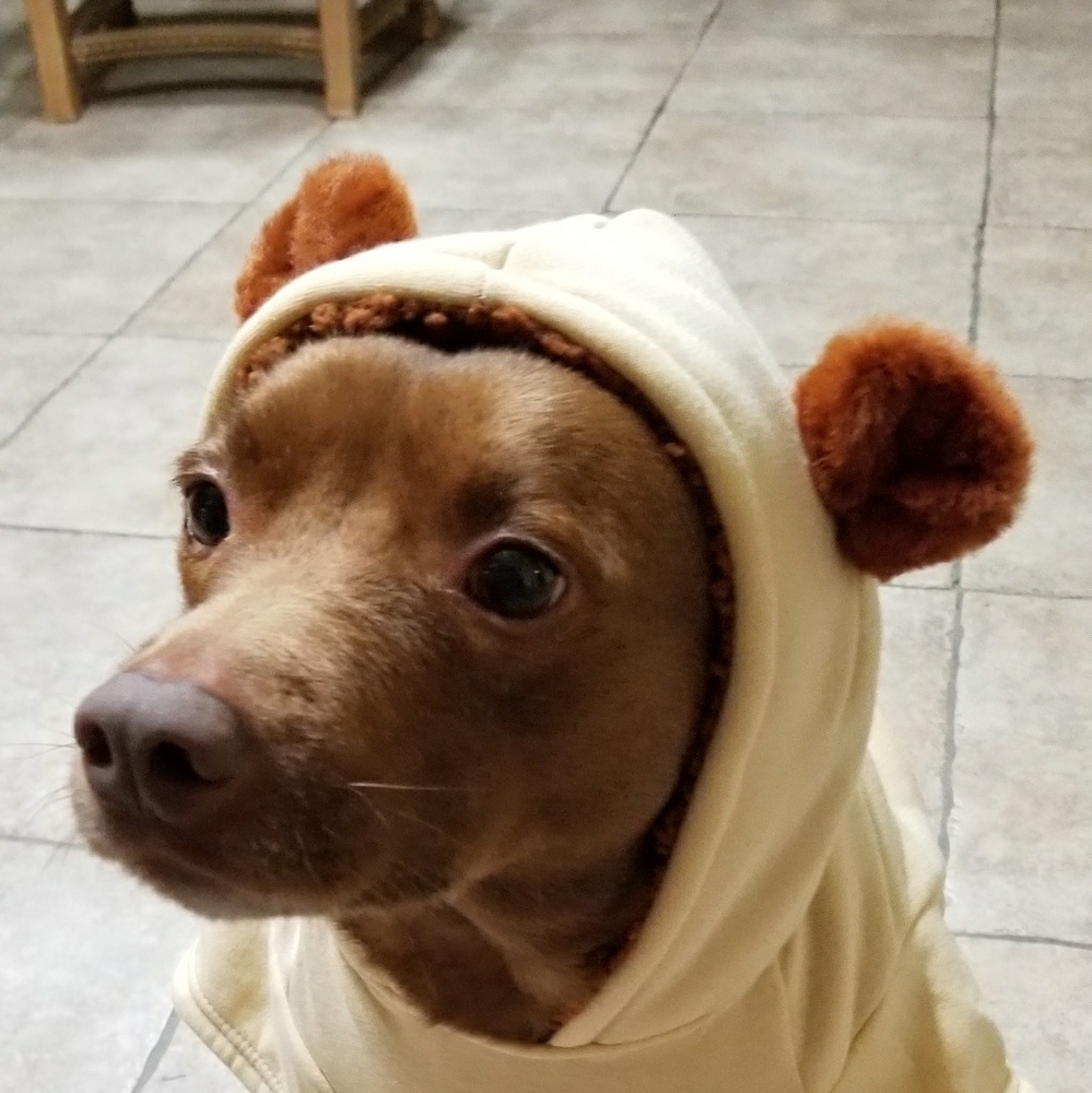 Meet your Posher, Scott